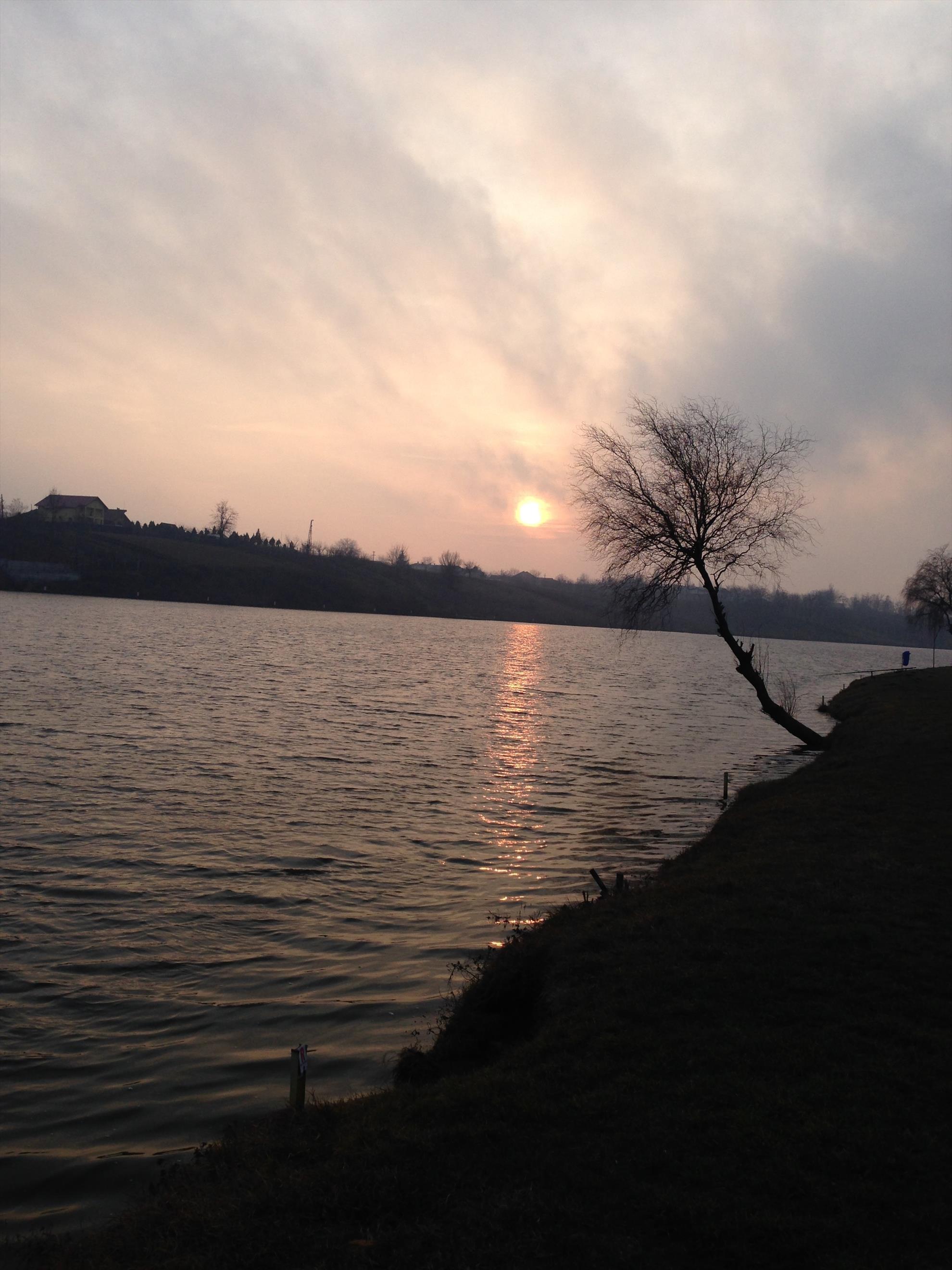 moara ian 2014 - img1961.jpg